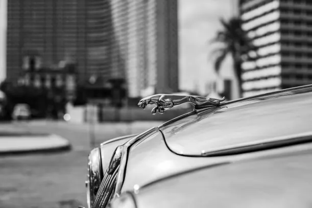 20Bets Casino Aip Android/iOS